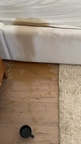 desiperkins Instagram post about Cleaning product recommendation