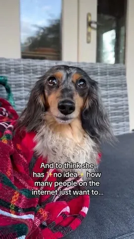 digitdax Instagram post about Dog physical traits
