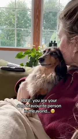 digitdax Instagram post about Pet owner relationship