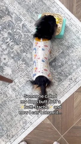 digitdax Instagram post about Dog humor
