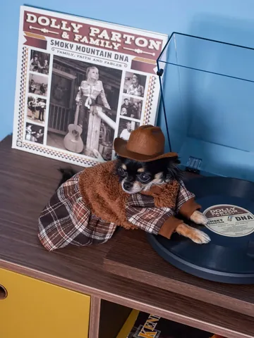 dolly_pawton Instagram post about Dolly Parton tribute