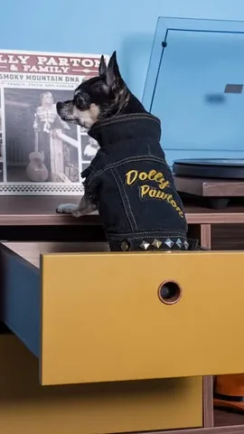 dolly_pawton Instagram post about Music storage furniture