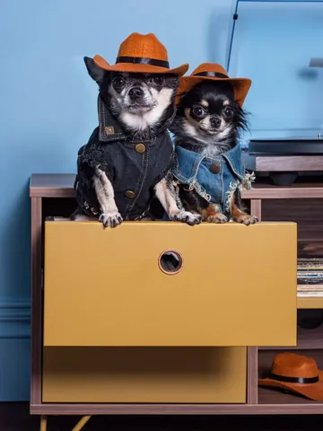 dolly_pawton Instagram post about Home storage and organisation