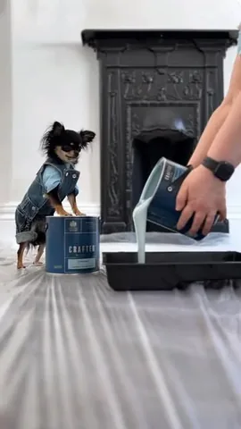 dolly_pawton Instagram post about Bedroom paint makeover