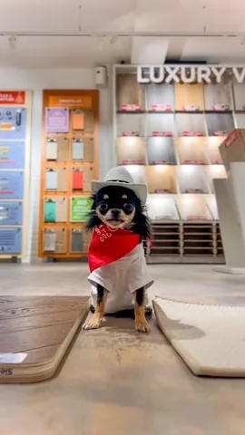dolly_pawton Instagram post about Flooring selection
