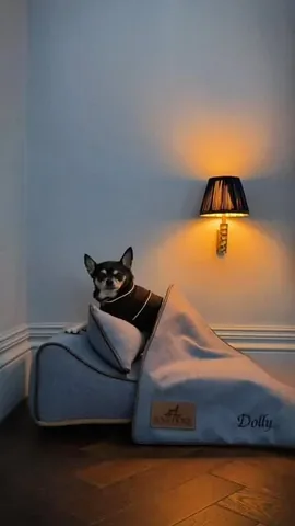 dolly_pawton Instagram post about Pet cooling products
