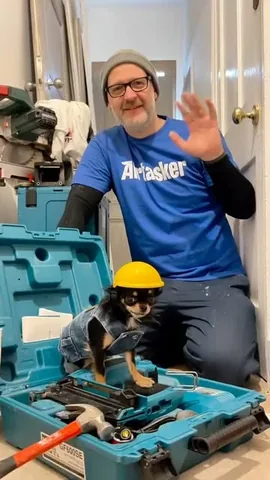 dolly_pawton Instagram post about Home renovation services