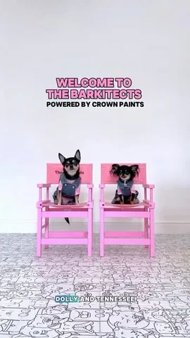 dolly_pawton Instagram post about Kitchen paint makeover