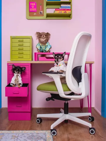 dolly_pawton Instagram post about Home office furniture collection