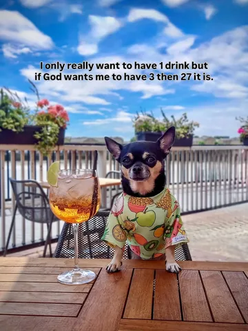 dolly_pawton Instagram post about Humorous toast