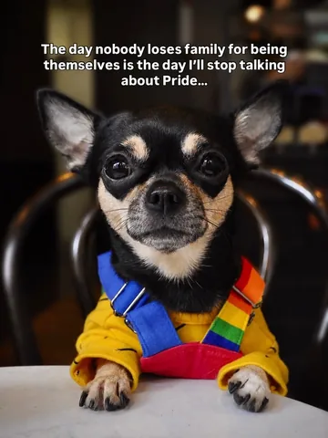 dolly_pawton Instagram post about Pride and authenticity
