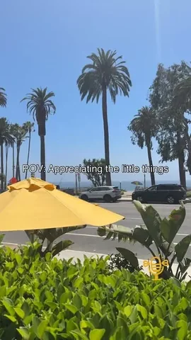 dralfiee Instagram post about Mindset and perspective