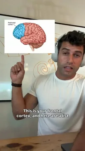drchrislee Instagram post about Nervous system self assessment