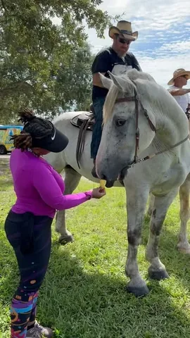 drdelvena Instagram post about Equine therapy and relaxation