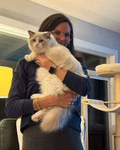 dr.katetruitt Instagram post about Personal health recovery and kitten adoption