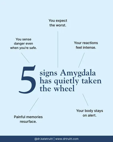dr.katetruitt Instagram post about Amygdala and threat responses