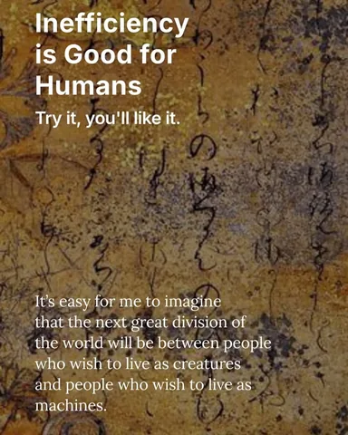 dr.tracyphd Instagram post about Inefficiency
