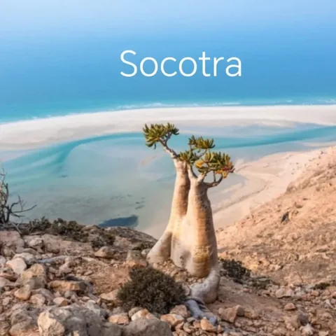 earth_unseen Instagram post about Socotra travel destination