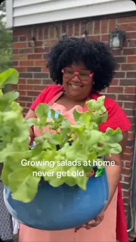 eclectickurves Instagram post about Lettuce gardening