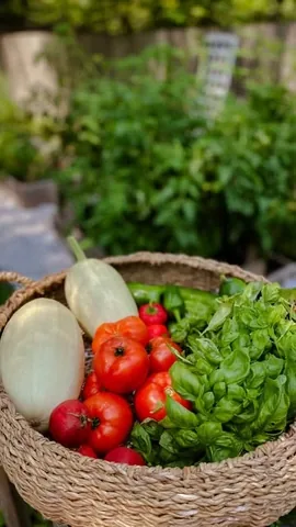 eclectickurves Instagram post about Home food gardening