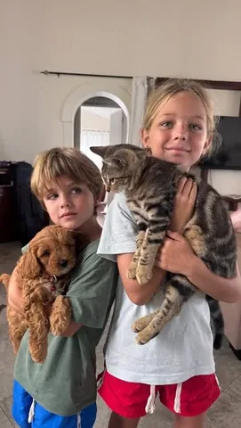 elayna.carausu Instagram post about New puppy introduction