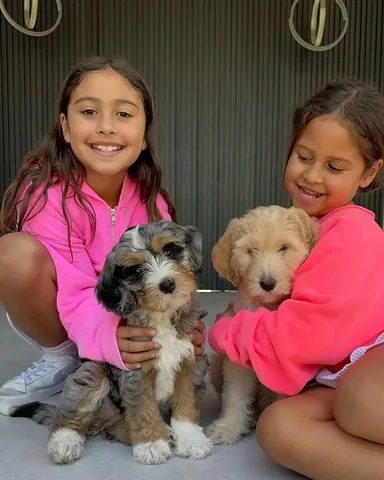 elle Instagram post about Pets