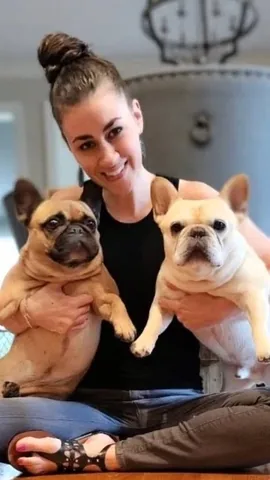 elvis_thefrenchbulldog Instagram post about Pet memorialization