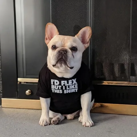 Elvis and Coco Bean Instagram post thumbnail