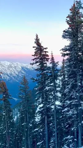 emptynesters_hittheroad Instagram post about Nightrise at Banff Gondola