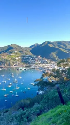 emptynesters_hittheroad Instagram post about Avalon travel guide