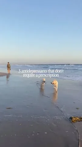 emwng Instagram post about Dog beach outing