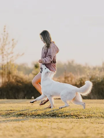 emwng Instagram post about Dog training memories