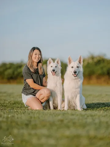 emwng Instagram post about Life with multiple dogs