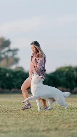 emwng Instagram post about Puppy training