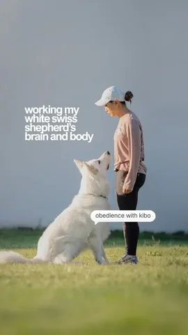 emwng Instagram post about Obedience training