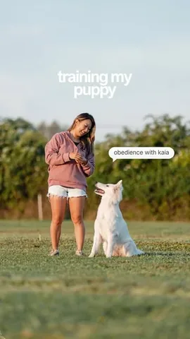 emily wang Instagram post thumbnail