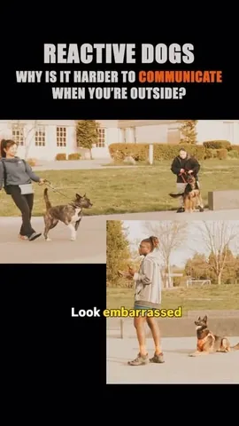 ericandcaprithepup Instagram post about Dog arousal