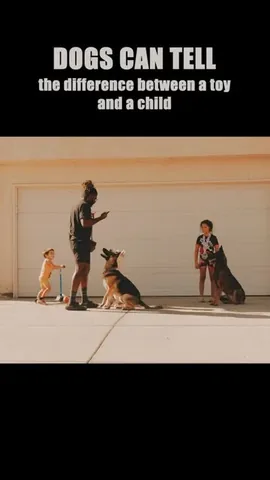 ericandcaprithepup Instagram post about Dog temperament assessment