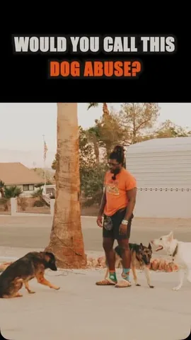 ericandcaprithepup Instagram post about Dog training philosophy
