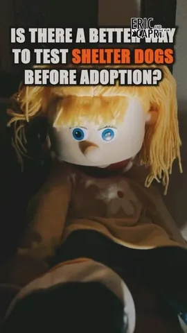 ericandcaprithepup Instagram post about Animal shelter practices