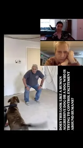 ericandcaprithepup Instagram post about Dog aggression assessment
