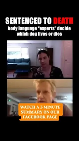 ericandcaprithepup Instagram post about Dog safety and euthanasia