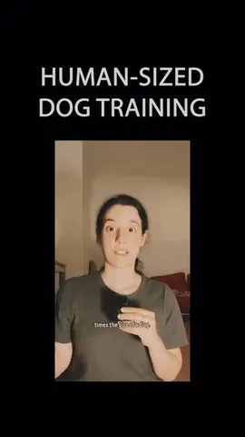 ericandcaprithepup Instagram post about Dog ownership philosophy