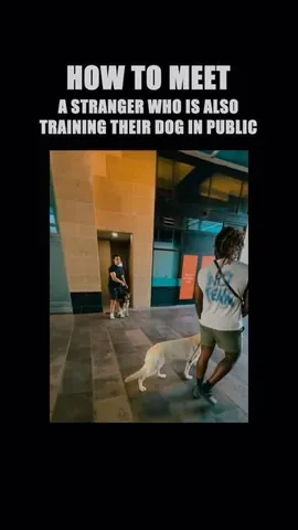 ericandcaprithepup Instagram post about Dog boundaries