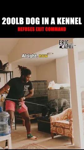 ericandcaprithepup Instagram post about Dog obedience