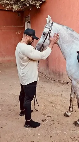eslammohamedelmasry Instagram post about Undetermined