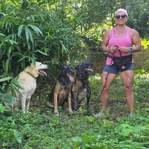evagzman58_ifbbpro Instagram post about Home gardening