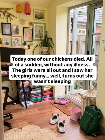 excusemyreading Instagram post about Pet loss