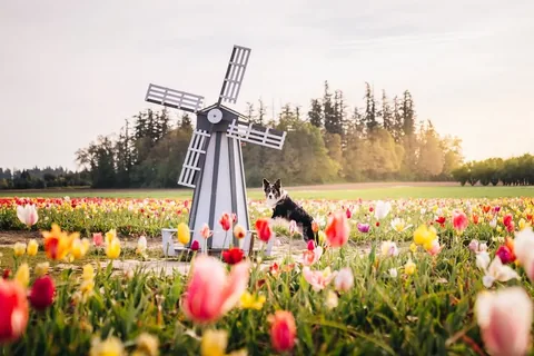 expeditionego Instagram post about Flowers
