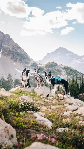 expeditionego Instagram post about Northern Washington hiking experience